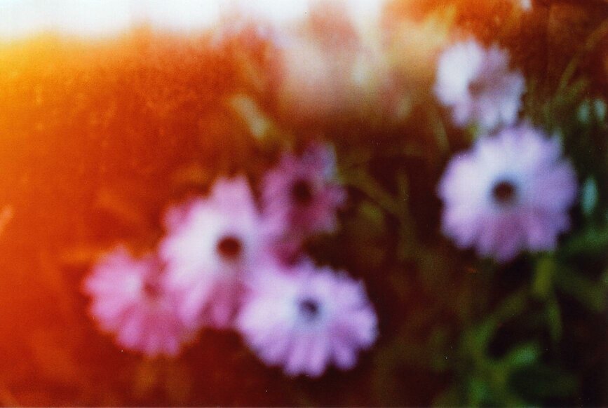 03_01_6.JPEG