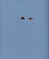by Gillian Wearing